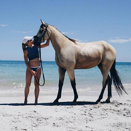 horse-tack-shops-online