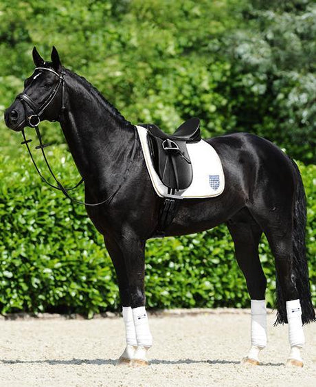 When to use Equine Shipping Boots?
