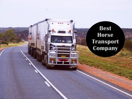 how-much-does-horse-transport-cost