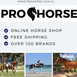 afterpay-horse-stores