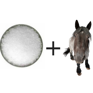 epsom-salt-for-horses-with-laminitis