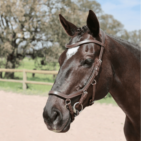 handmade-bridles-australia