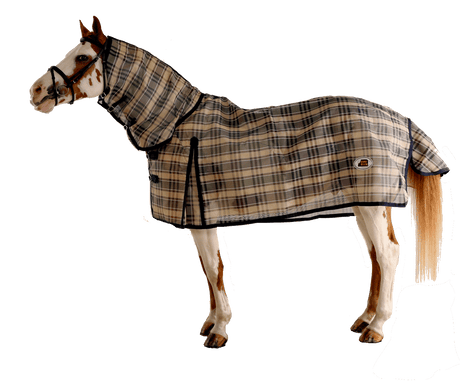 fly-rugs-for-welsh-cobs