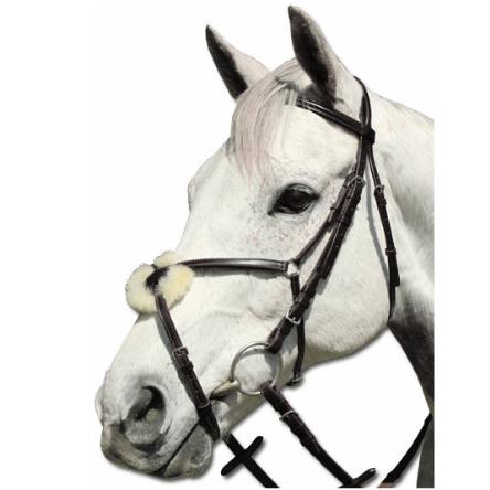 a white horse with a bridle on its head 