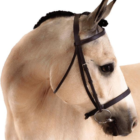 a horse with a saddle on its back 