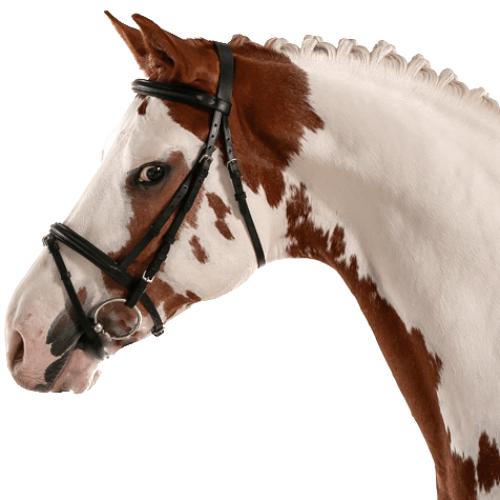 a horse with a saddle on its back 