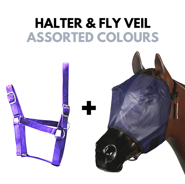 Halter & Fly Veil Set-Ascot Equestrian