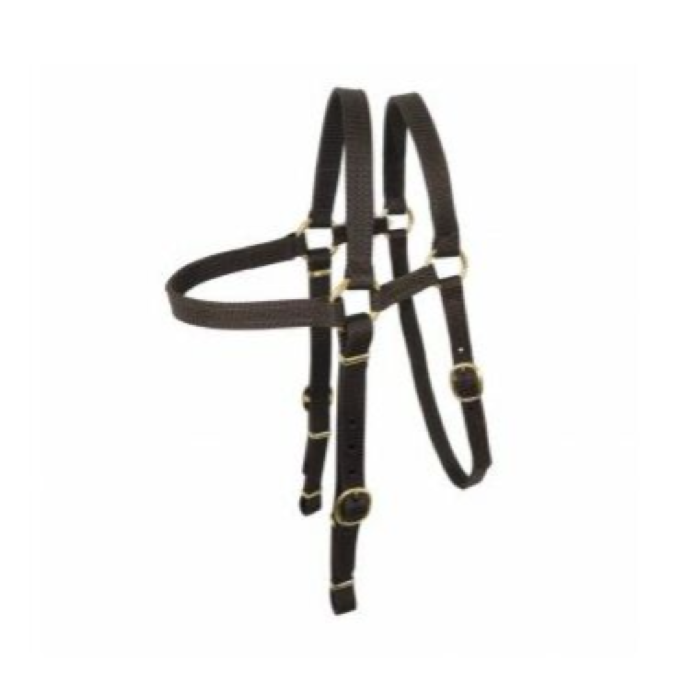 Extended head Barcoo Bridle