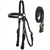 Leather Barcoo Bridle - Black