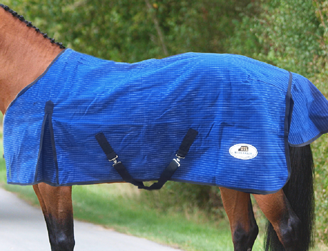 Canvas Horse Rug - Unlined