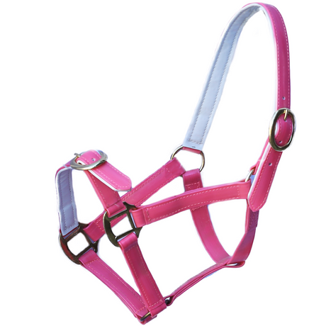 PVC Halter - Pink-Ascot Equestrian