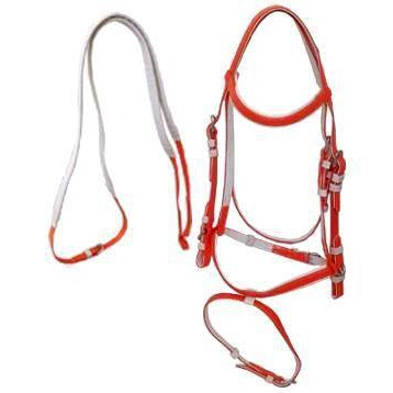 PVC Bridle - Red-Ascot Equestrian