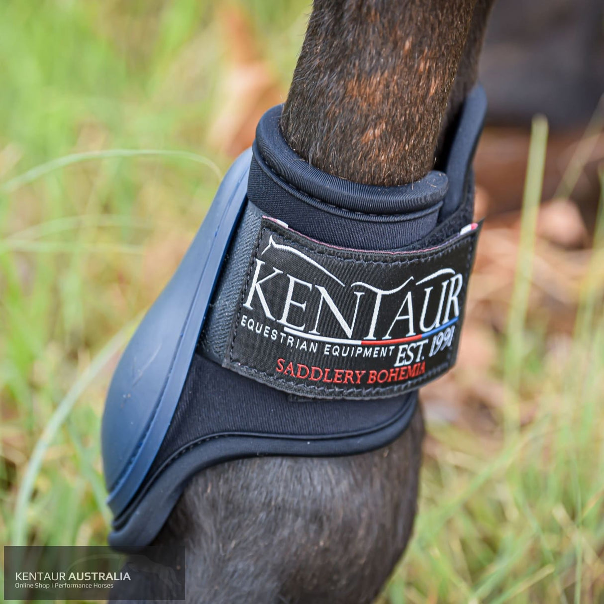 Kentaur ‘Profi’ Hind Jumping Boots