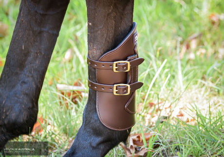 Kentaur Weighted Hind Boots