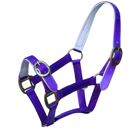 PVC Halter - Purple-Ascot Equestrian